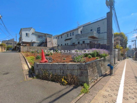 ���n�y�n�ʐ^ �B�e��(2026-04-03 00:00:00)