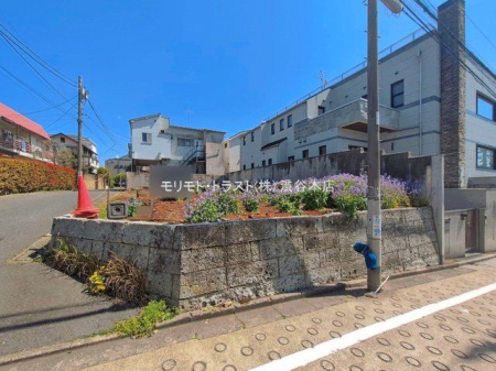 ���n�y�n�ʐ^ �B�e��(2026-04-03 00:00:00)