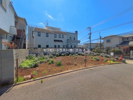 ���n�y�n�ʐ^ �B�e��(2026-04-03)