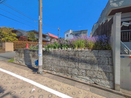 ���n�y�n�ʐ^ �B�e��(2026-04-03 00:00:00)