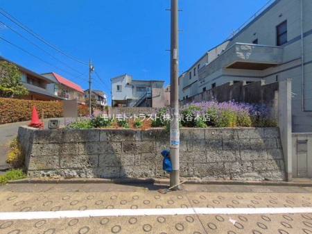 ���n�y�n�ʐ^ �B�e��(2026-04-03 00:00:00)