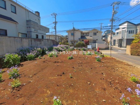 ���n�y�n�ʐ^ �B�e��(2026-04-03 00:00:00)