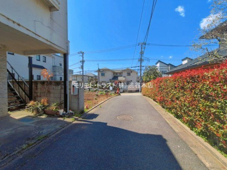 ���n�y�n�ʐ^ �B�e��(2026-04-03 00:00:00)