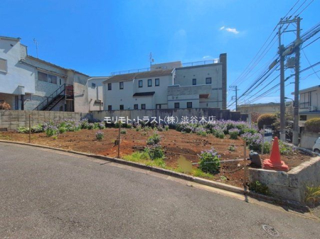 ���n�y�n�ʐ^ �B�e��(2026-04-03 00:00:00)