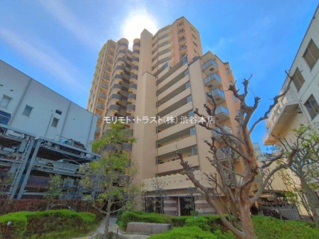 ���n�O�ώʐ^ �B�e��(2026-04-06)