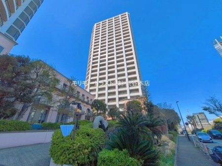 ���n�O�ώʐ^ �B�e��(2026-04-08)