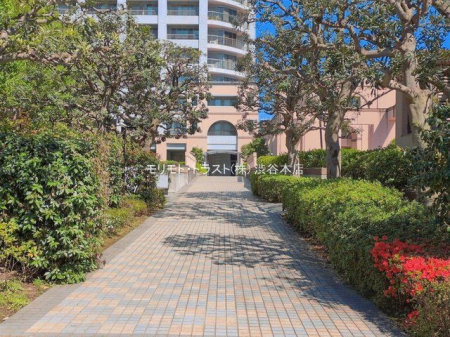 ���n�O�ώʐ^ �B�e��(2026-04-08 00:00:00)