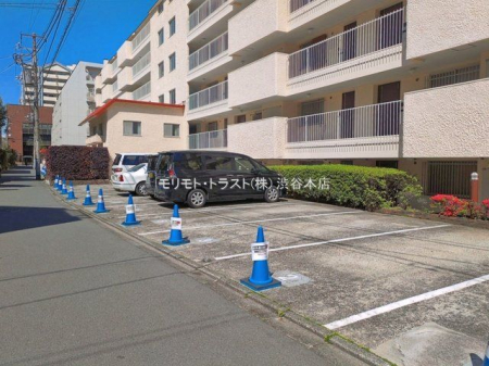 ���n�O�ώʐ^ �B�e��(2026-04-08 00:00:00)