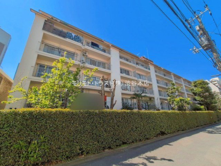 ���n�O�ώʐ^ �B�e��(2026-04-08)