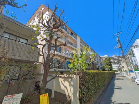 ���n�O�ώʐ^ �B�e��(2026-04-08 00:00:00)