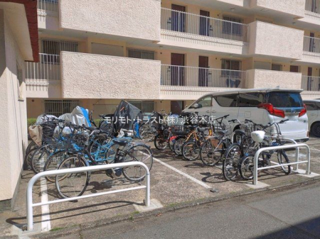 ���n�O�ώʐ^ �B�e��(2026-04-08 00:00:00)