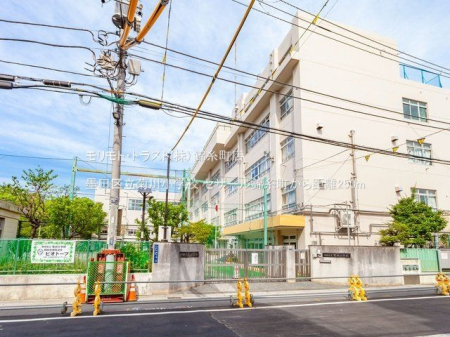 ���ӊ� �n�c�旧�e�쏬�w�Z �B�e��(2021-05-03) 250m