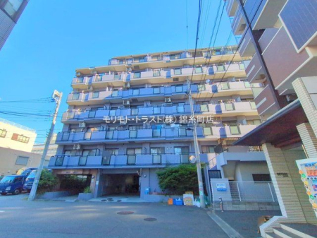 ���n�O�ώʐ^ �B�e��(2025-09-02 00:00:00)