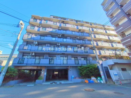 ���n�O�ώʐ^ �B�e��(2025-09-02 00:00:00)