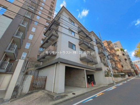 ���n�O�ώʐ^ �B�e��(2026-03-27)