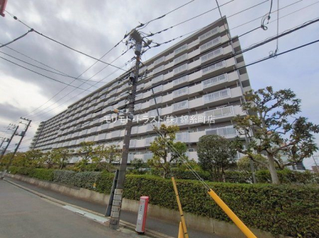 ���n�O�ώʐ^ �B�e��(2026-01-21)