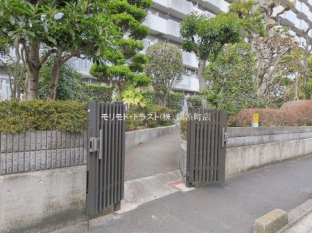 ���n�O�ώʐ^ �B�e��(2026-01-21 00:00:00)