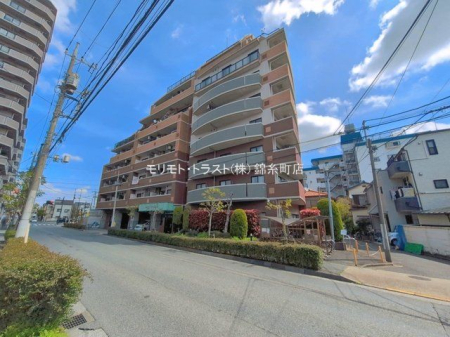 ���n�O�ώʐ^ �B�e��(2026-04-06 00:00:00)