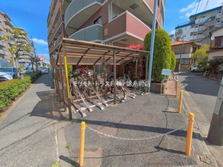 ���n�O�ώʐ^ �B�e��(2026-04-06 00:00:00)