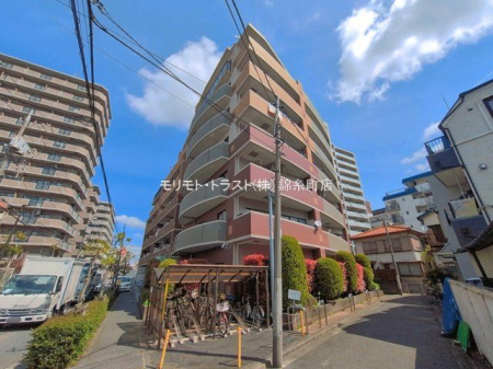 ���n�O�ώʐ^ �B�e��(2026-04-06 00:00:00)