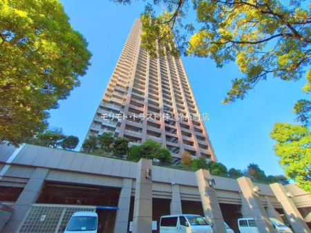 ���n�O�ώʐ^ �B�e��(2024-11-13 00:00:00)