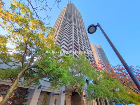 ���n�O�ώʐ^ �B�e��(2024-11-13 00:00:00)