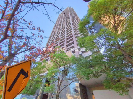 ���n�O�ώʐ^ �B�e��(2024-11-13 00:00:00)