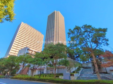 ���n�O�ώʐ^ �B�e��(2024-11-13)