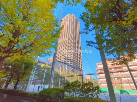 ���n�O�ώʐ^ �B�e��(2024-11-13 00:00:00)