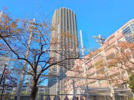 ���n�O�ώʐ^ �B�e��(2024-11-13 00:00:00)