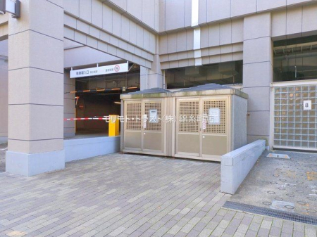 ���n�O�ώʐ^ �B�e��(2024-11-13 00:00:00)