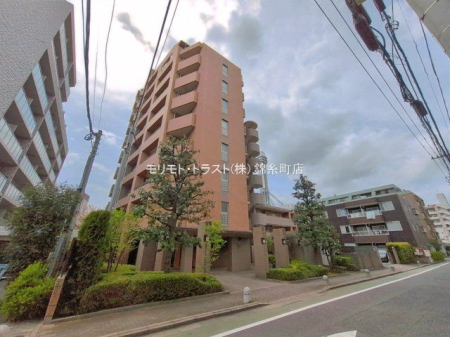 ���n�O�ώʐ^ �B�e��(2026-04-09 00:00:00)