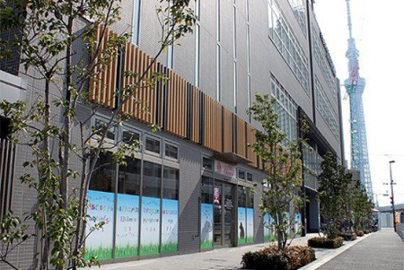 ���ӊ� �`�F���b�V���g�M�ۈ牀 �k��4���B 310m