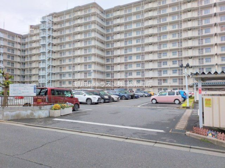 ���n�O�ώʐ^ �B�e��(2025-05-02 00:00:00)