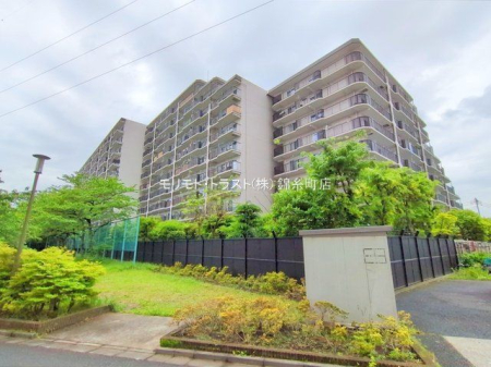 ���n�O�ώʐ^ �B�e��(2025-05-02 00:00:00)