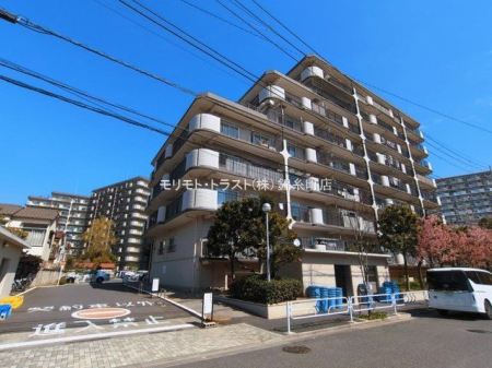 ���n�O�ώʐ^ �B�e��(2026-03-09)