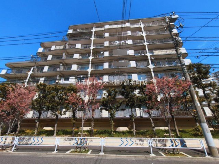 ���n�O�ώʐ^ �B�e��(2026-03-09 00:00:00)