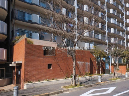 ���n�O�ώʐ^ �B�e��(2026-03-09 00:00:00)