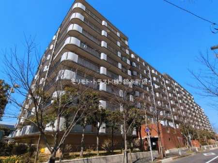 ���n�O�ώʐ^ �B�e��(2026-03-09 00:00:00)