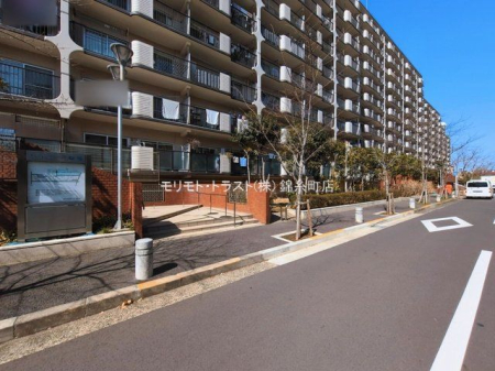 ���n�O�ώʐ^ �B�e��(2026-03-09 00:00:00)