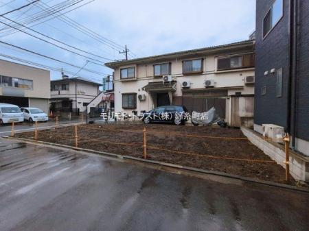 ���n�y�n�ʐ^ �B�e��(2026-03-03 00:00:00)