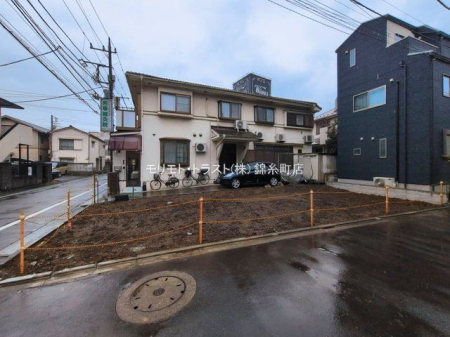 ���n�y�n�ʐ^ �B�e��(2026-03-03 00:00:00)