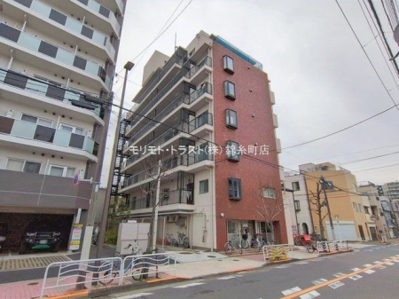 ���n�O�ώʐ^ �B�e��(2026-02-27)