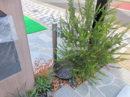 ���n�O�ώʐ^ �B�e��(2025-09-18 00:00:00)