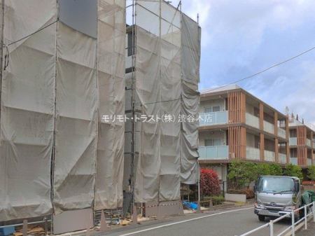 ���n�O�ώʐ^ �B�e��(2026-04-10 00:00:00)