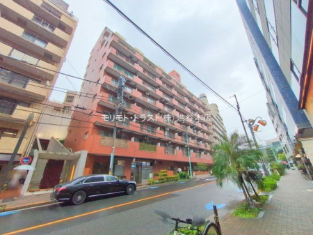 ���n�O�ώʐ^ �B�e��(2025-10-01 00:00:00)