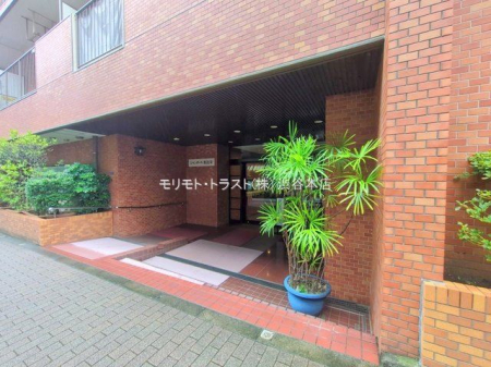 �G���g�����X �B�e��(2025-10-01 00:00:00)