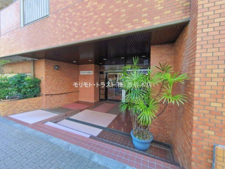 �G���g�����X �B�e��(2026-01-09 00:00:00)