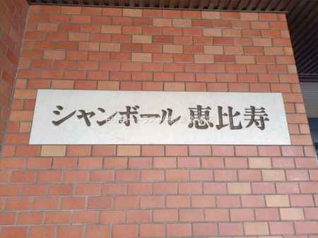 ���n�O�ώʐ^ �B�e��(2026-01-09 00:00:00)