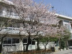 ���ӊ� �Y���s���k�����w�Z �k��2���B 160m